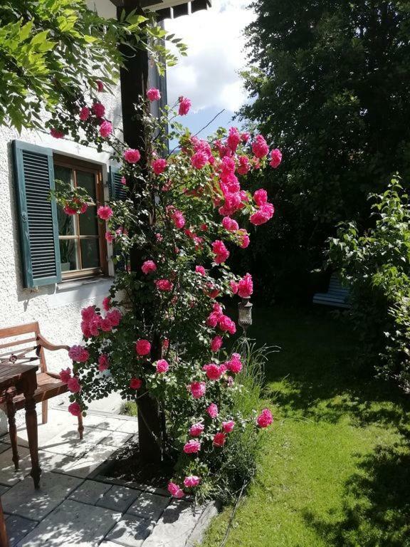 Koenig Ludwig' Das Maerchenhafte Appartement Oberammergau Luaran gambar